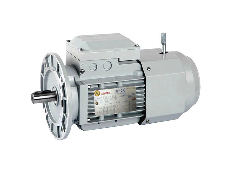 制動(dòng)電機(jī) VEMT三相異步電動(dòng)機(jī) 制動(dòng)電機(jī) VEMT三相異步電動(dòng)機(jī)