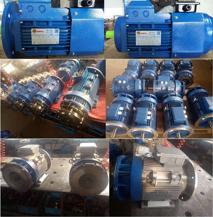 VEMT變頻電機(jī) VEMT變頻電機(jī)